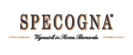 15_Logo_SPECOGNA