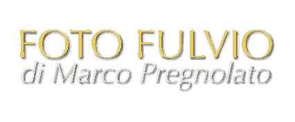 17_Logo_FOTO_FULVIO