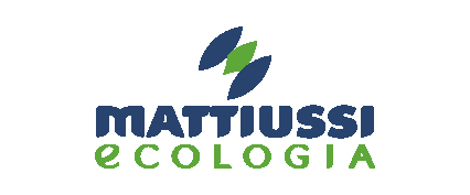 19_Logo_MATTIUSSI